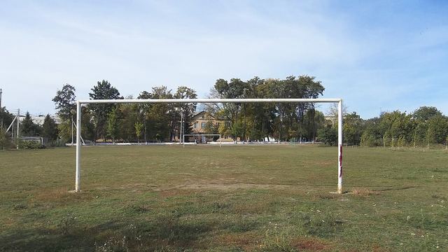 A grass football pitch seen through a goal frame, with a school building behind.